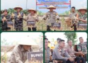 Sekertaris daerah kabupaten Ketapang Ikuti Panen Raya Jagung Serentak Nasional, Dukung Swasembada Pangan