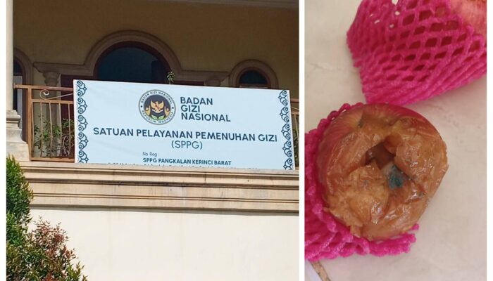 Menu Makan Bergizi Gratis di Pangkalan Kerinci Diduga Tak Layak, Siapa Bertanggung Jawab?