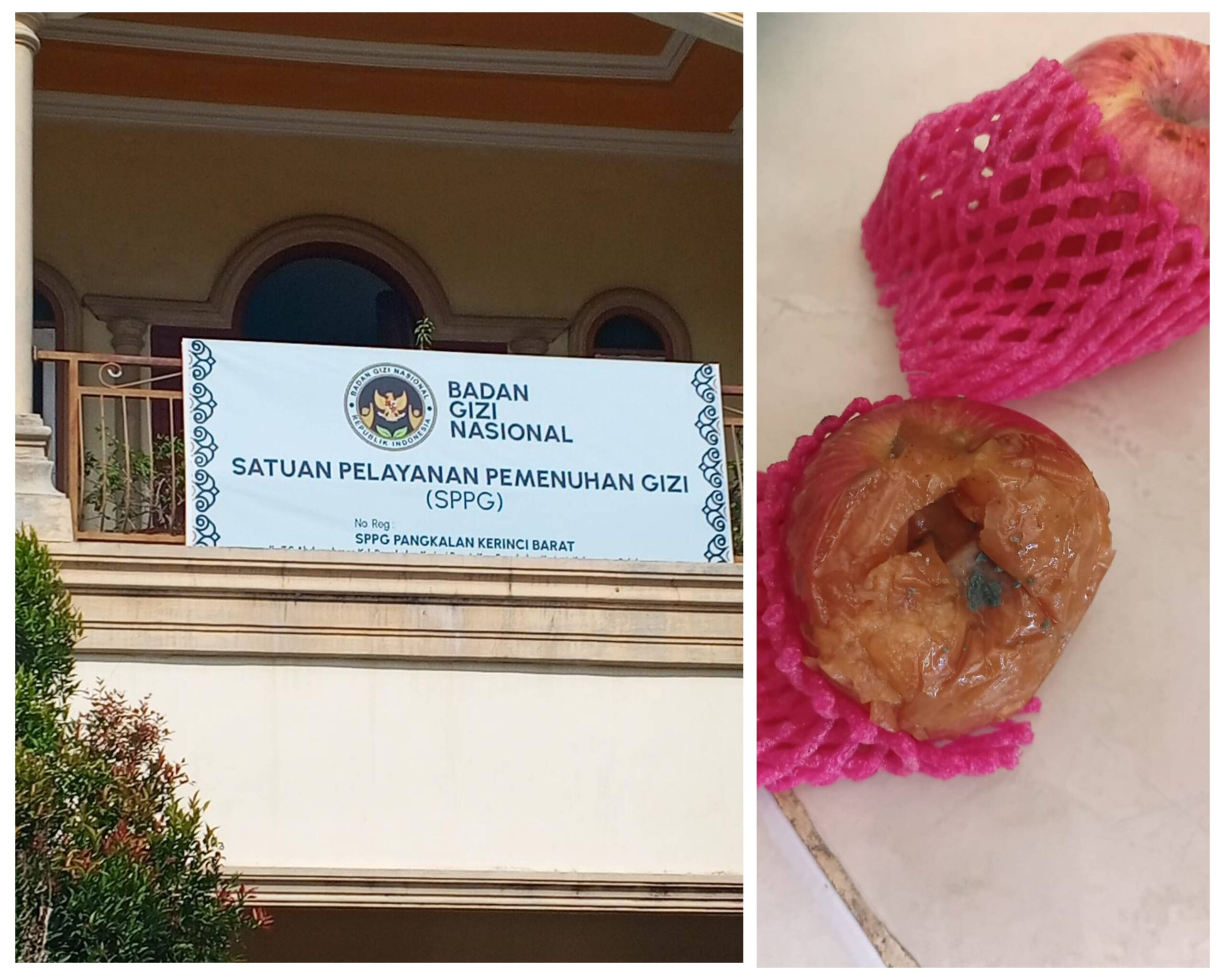 Kondisi buah busuk dan menu makanan bergizi gratis mbg yang dikeluhkan warga pangkalan kerinci
