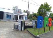 Rekrutmen Mitra BPS Jadi Sorotan, Mengapa Sejumlah Peserta Pertanyakan Transparansi Seleksi?