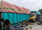 Dua Truk Bermuatan Kayu Diduga Hasil Perambahan Liar Diamankan, Mampukah Membongkar Jaringan Illegal Logging Kerumutan?