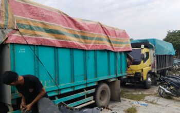 Dua Truk Bermuatan Kayu Diduga Hasil Perambahan Liar Diamankan, Mampukah Membongkar Jaringan Illegal Logging Kerumutan?