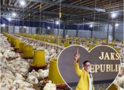 Musi Rawas | Akademisi Ingatkan Pengusaha Kandang Ayam Patuhi Aturan Lingkungan, Jangan Abaikan Hak Warga
