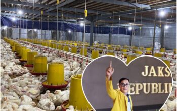 Musi Rawas | Akademisi Ingatkan Pengusaha Kandang Ayam Patuhi Aturan Lingkungan, Jangan Abaikan Hak Warga
