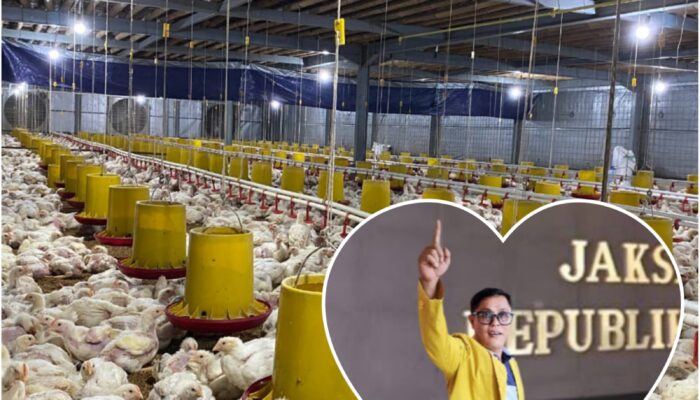 Musi Rawas | Akademisi Ingatkan Pengusaha Kandang Ayam Patuhi Aturan Lingkungan, Jangan Abaikan Hak Warga