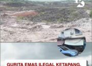 Tuduh Jaringan PETI Masif Tanpa Bukti, Mengapa Narasi Akun ‘sekilaskalbar’ Disebut Pembunuhan Karakter?