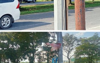 Dugaan Pencurian Arus Listrik di Jalur Bandara Kualanamu, Aparat dan Instansi Terkait Diminta Bertindak Tegas