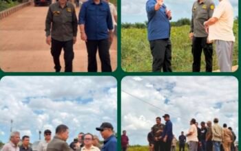 Ditengah Efisiensi Anggaran, Bagaimana Semangat Gotong Royong Mampu Muluskan Jalan Pelang–Kepuluk Ketapang? Alat berat dán pekerja sedang melakukan perbaikan dán pembangunan infrastruktur jalan di ruas Pelang–Kepuluk Kabupaten Ketapang.