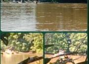 Sebabkan Air Keruh dán Ikan Langka, Mengapa Ponton Emas Ilegal di Sungai Mensubang Seakan Kebal Hukum?