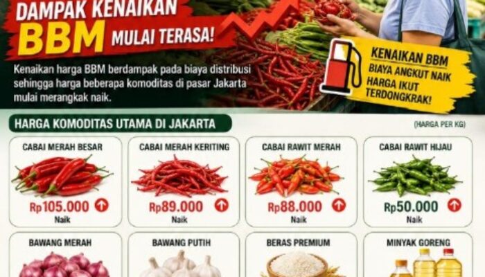 Jakarta | Harga Sayur dan Sembako 11 Juni 2026 Naik, Dampak Kenaikan BBM Mulai Terasa, Seberapa Berat Beban Konsumen?