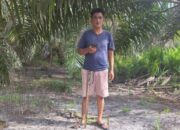 Punya Sertifikat Resmi Negara, Lahan Dewi Purwanti di Ketapang  Diduga Tak Berkutik di Lahan Koperasi