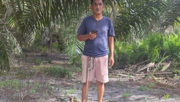 Punya Sertifikat Resmi Negara, Lahan Dewi Purwanti di Ketapang  Diduga Tak Berkutik di Lahan Koperasi