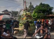 Rebutan 12 Gunungan di Desa Planjan: Mengapa Ratusan Warga Rela Berdesakan Demi Tradisi Ini?
