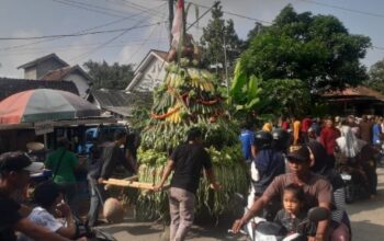 Rebutan 12 Gunungan di Desa Planjan: Mengapa Ratusan Warga Rela Berdesakan Demi Tradisi Ini?
