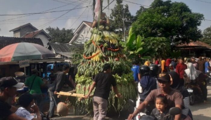Rebutan 12 Gunungan di Desa Planjan: Mengapa Ratusan Warga Rela Berdesakan Demi Tradisi Ini?
