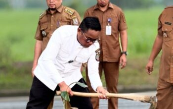 Pilih Pohon Aren ketimbang Tanaman Hias, Apa Rencana Besar Bupati Zukri di Jantung Kota Pangkalan Kerinci?