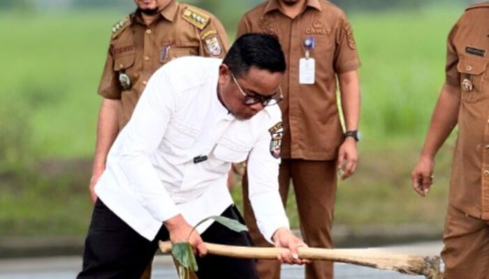 Pilih Pohon Aren ketimbang Tanaman Hias, Apa Rencana Besar Bupati Zukri di Jantung Kota Pangkalan Kerinci?