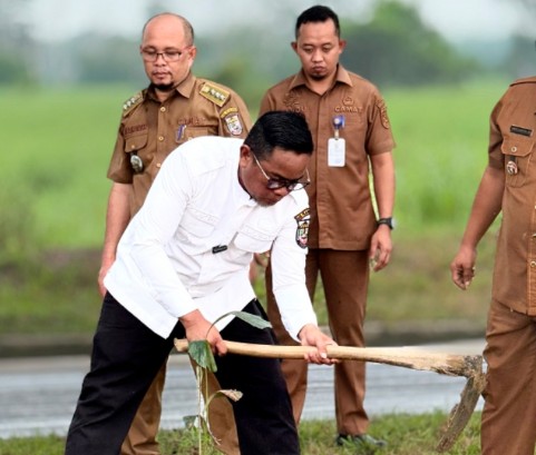 Bupati Pelalawan H. Zukri didampingi Sekda dán jajaran ASN saat menanam bibit pohon aren di median jalan utama Pangkalan Kerinci.