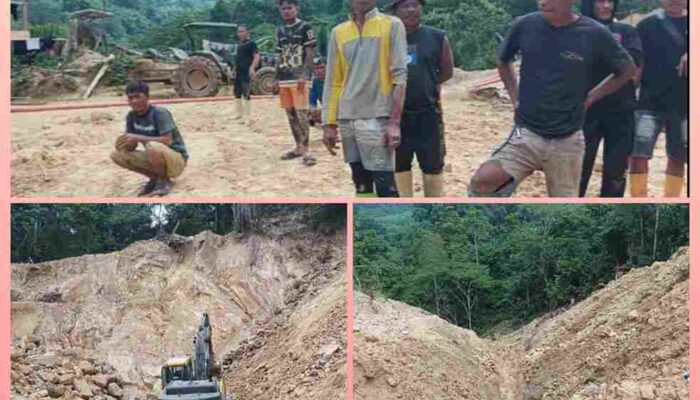 Dugaan Aktivitas Tambang Ilegal Kembali Marak di Hutan Lindung Dulamayo, Mampukah APH Bertindak Tegas?