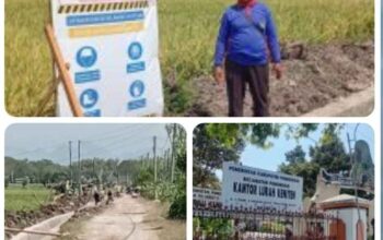 Pengerjaan proyek irigasi persawahan melalui program HIPPA di Kelurahan Mangkujayan, Ponorogo.