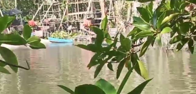 Aktivitas tambang timah ilegal di aliran Sungai Antan yang merusak ekosistem bakau.