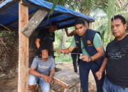 GerCep! Sat Narkoba Polres Langkat Grebek Sarang Narkoba, Hingga Bakar Gubuk dan Ciduk Satu Tersangka