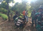 Dukung Ketahanan Pangan Berkelanjutan, Satgas TMMD Ke-129 Kodim 0102/Pidie Tanam Pohon Produktif Bersama Warga