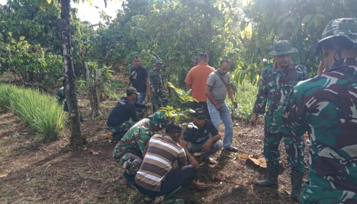 Dukung Ketahanan Pangan Berkelanjutan, Satgas TMMD Ke-129 Kodim 0102/Pidie Tanam Pohon Produktif Bersama Warga
