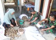 Tak Hanya Bangun Infrastruktur, Satgas TMMD Ke-129 Kodim 0102/Pidie Bantu Warga Kupas Pinang Perkuat Kemanunggalan