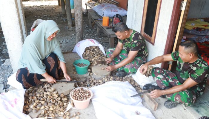 Tak Hanya Bangun Infrastruktur, Satgas TMMD Ke-129 Kodim 0102/Pidie Bantu Warga Kupas Pinang Perkuat Kemanunggalan