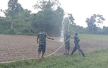 Tak Sekadar Menanam, Satgas TMMD Ke-129 Kodim 0102/Pidie Rawat Harapan Petani di Tengah Teriknya Cuaca