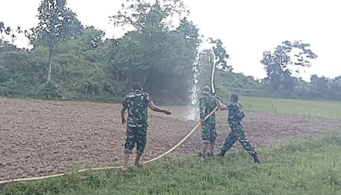 Tak Sekadar Menanam, Satgas TMMD Ke-129 Kodim 0102/Pidie Rawat Harapan Petani di Tengah Teriknya Cuaca