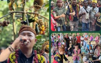 Bupati ketapang Aleksander Wilyo hadiri acara Tradisi Menjangkap Buah Desa Penyarang