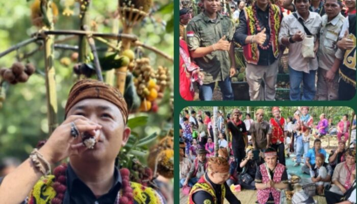 Bupati ketapang Aleksander Wilyo hadiri acara Tradisi Menjangkap Buah Desa Penyarang