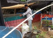 Penyuluh Perikanan Swadaya (PPS) Kecamatan Jonggol Lakukan Pendampingan Pembudidaya Ikan: Sulap Lahan Kosong Jadi Kolam Bioflok