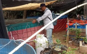 Penyuluh Perikanan Swadaya melakukan pendampingan kolam bioflok di Kecamatan Jonggol, Bogor.