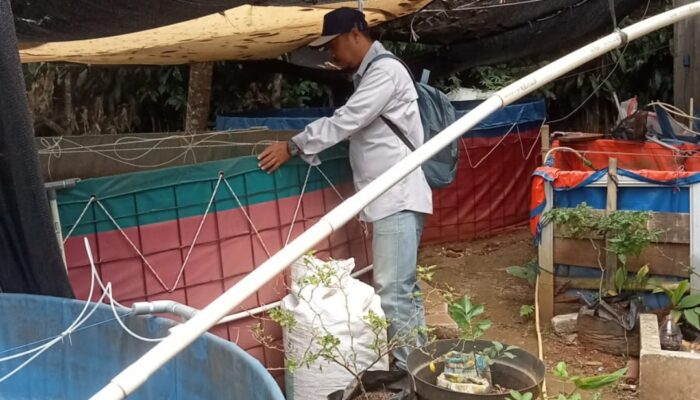 Penyuluh Perikanan Swadaya (PPS) Kecamatan Jonggol Lakukan Pendampingan Pembudidaya Ikan: Sulap Lahan Kosong Jadi Kolam Bioflok