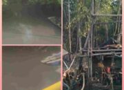 Tambang PIP Diduga Ilegal Babat Mangrove dan Cemari DAS Muara Kampak, Pos Polairud Terkesan Tutup Mata