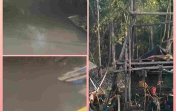 Kondisi kerusakan hutan mangrove dan pencemaran DAS akibat tambang PIP ilegal di Muara Kampak, Jebus.