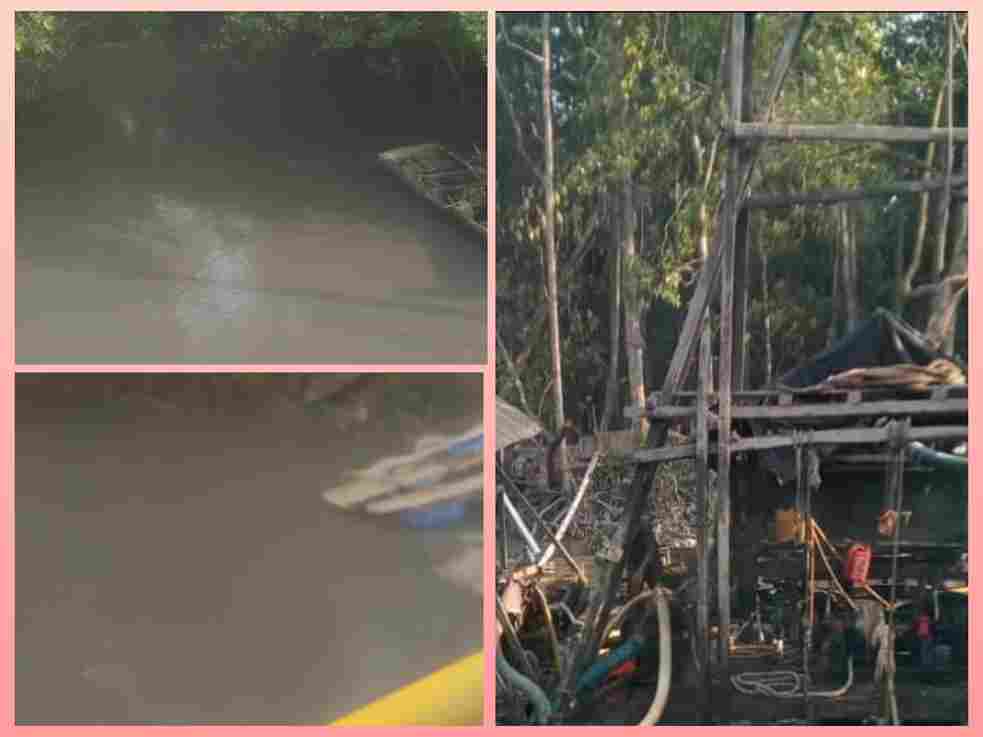 Kondisi kerusakan hutan mangrove dan pencemaran DAS akibat tambang PIP ilegal di Muara Kampak, Jebus.