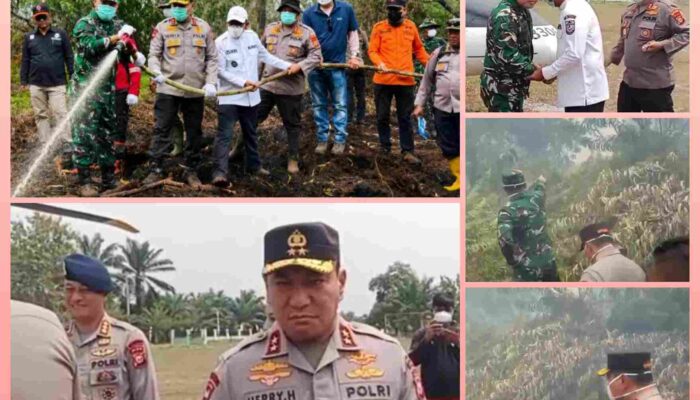 300 Hektare Terbakar di Kerumutan, Kapolda Riau dan Pangdam Turun Langsung: Karhutla Pelalawan Belum Usai