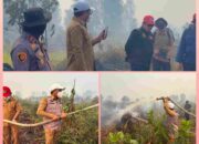 Bupati Zukri Turun Langsung Tangani Karhutla di Rantau Baru, Hampir 50 Hektare Lahan Gambut Terbakar