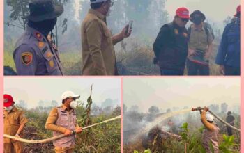 Bupati Zukri Turun Langsung Tangani Karhutla di Rantau Baru, Hampir 50 Hektare Lahan Gambut Terbakar