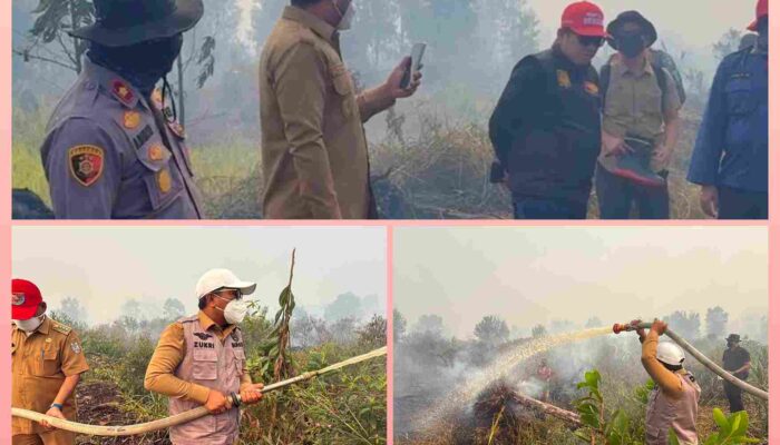Bupati Zukri Turun Langsung Tangani Karhutla di Rantau Baru, Hampir 50 Hektare Lahan Gambut Terbakar
