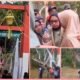 Baru Diresmikan, Jembatan Gantung Pongpet Anjlok Saat Dilewati Bupati: Apa yang Terjadi?
