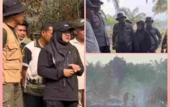 Karhutla Siak Berhasil Dikendalikan, Bupati Afni Tegaskan Pemkab Siak Siap Dukung Penegakan Hukum Bupati Siak Afni Zulkifli saat meninjau penanganan karhutla di kawasan Cagar Biosfer Tasik Betung.