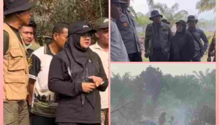 Karhutla Siak Berhasil Dikendalikan, Bupati Afni Tegaskan Pemkab Siak Siap Dukung Penegakan Hukum