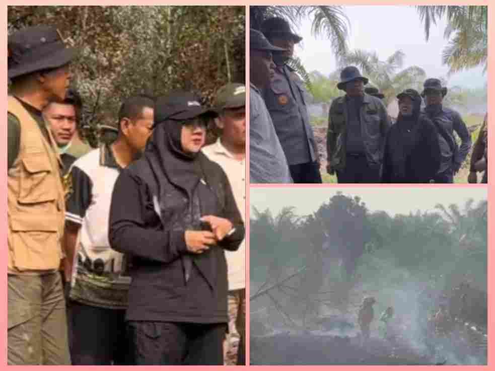 Bupati Siak Afni Zulkifli saat meninjau penanganan karhutla di kawasan Cagar Biosfer Tasik Betung.