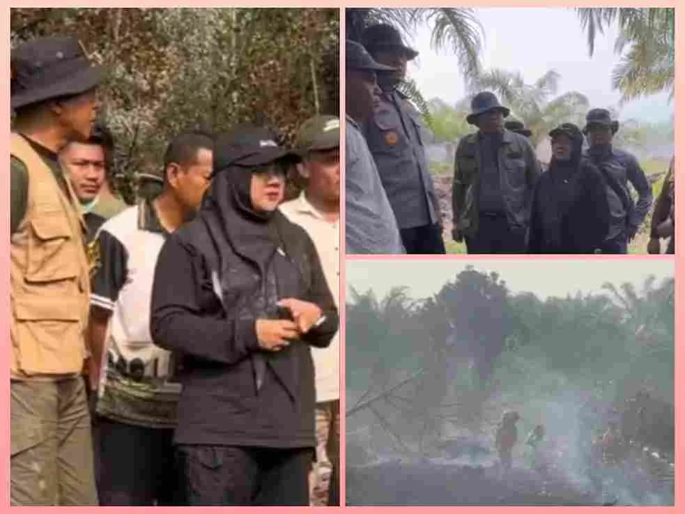 Bupati Siak Afni Zulkifli saat meninjau penanganan karhutla di kawasan Cagar Biosfer Tasik Betung.