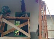 Membangun Rumah, Satgas TMMD Ke-129 Kodim 0102/Pidie Wujudkan Harapan Baru bagi Rabunmah Amin